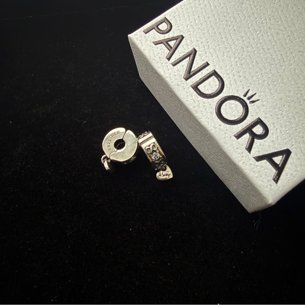 Family Always Pavé Clip Charm(Pair)